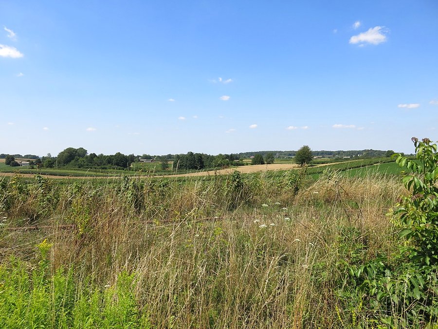 W Krainie lessowych wąwozów