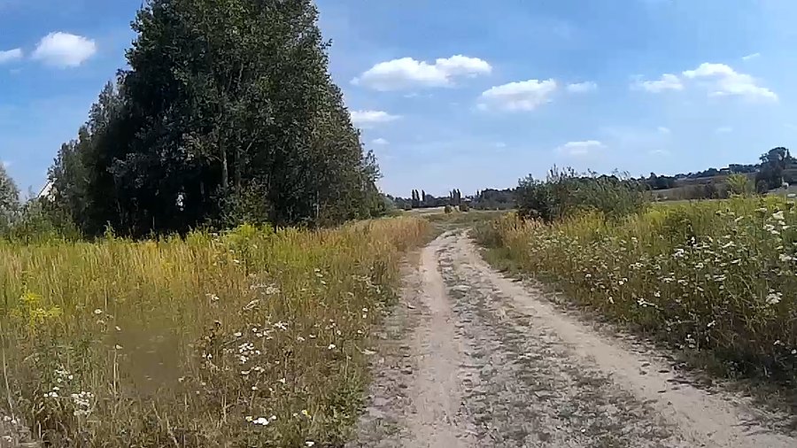 Ścieżka wzdłuż potoku Bielszowickiego