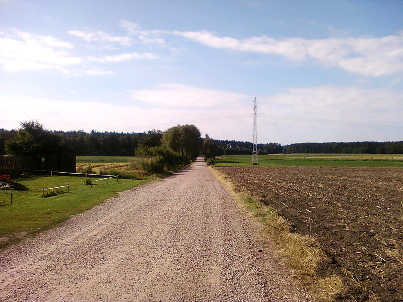 Mikołajewice - Ludowinka