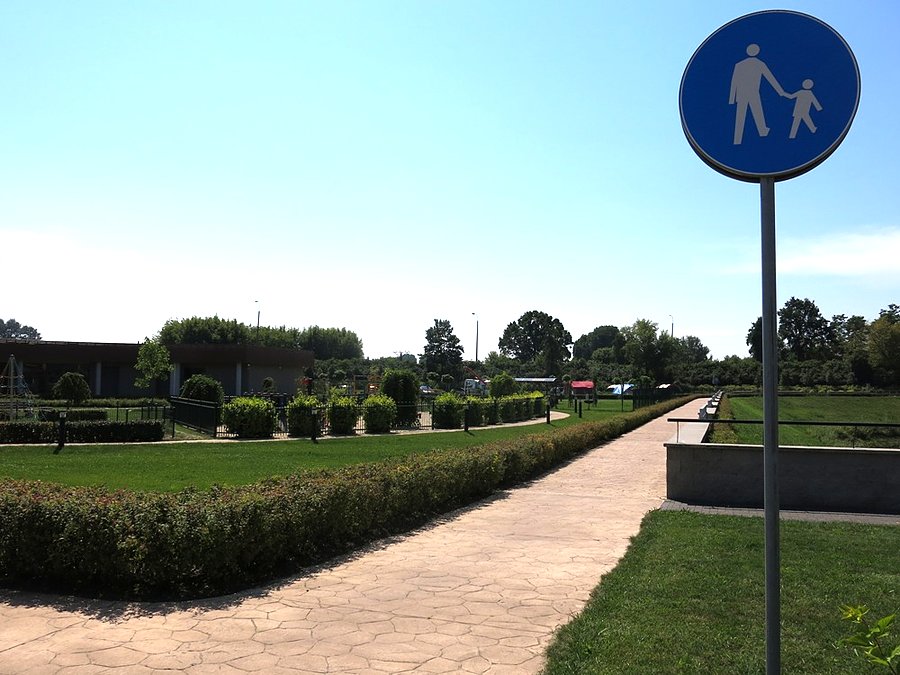 Za ogrodzeniem i żywopłotem widzimy Camping w Puławach