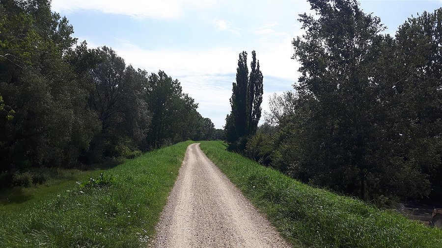 Rzut oka za siebie