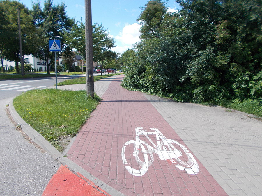 Zarośnięta ścieżka