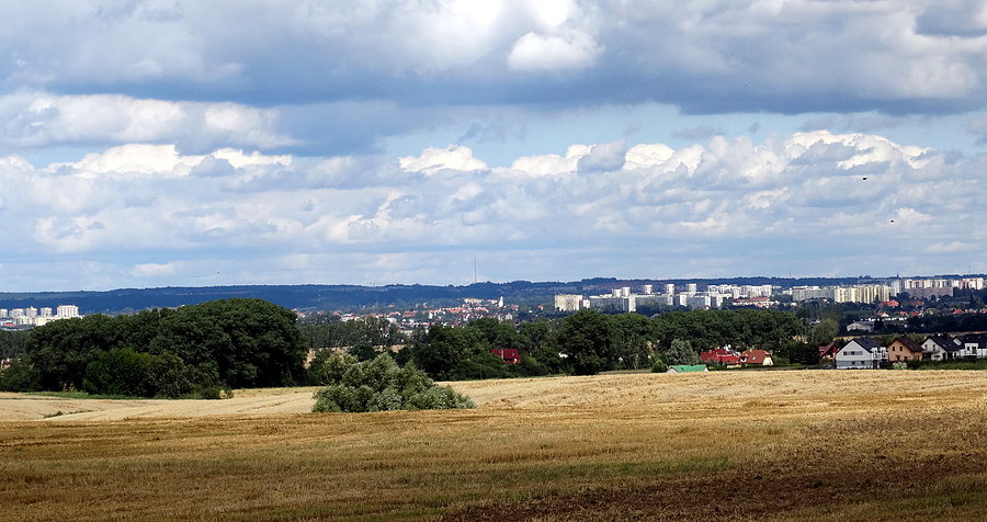Panorama Szczecina - widok spod Karwowa