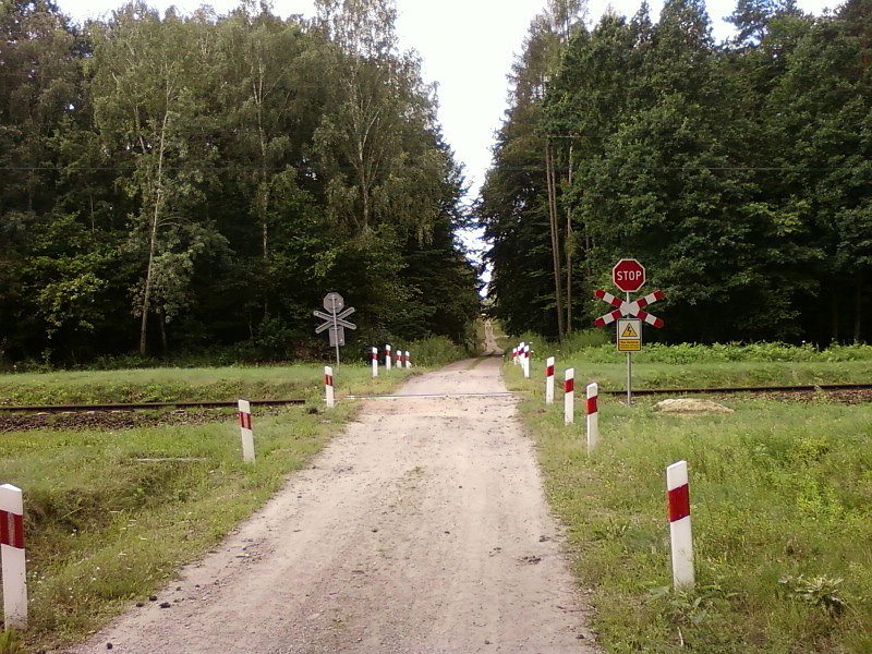 Przejazd kolejowy w lesie