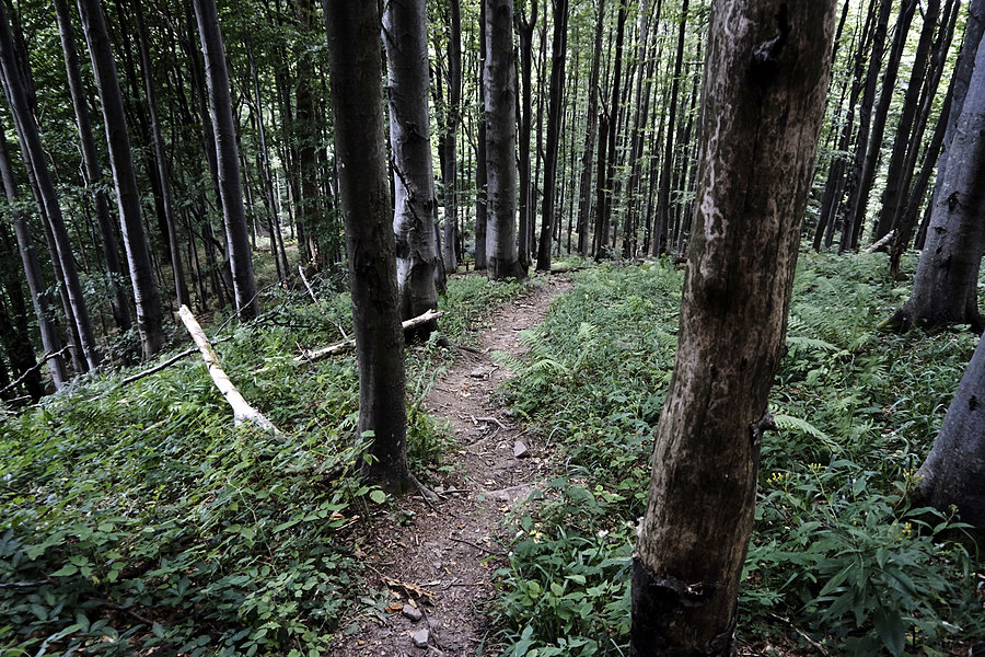 Kawałek bieszczadzkiego MTB