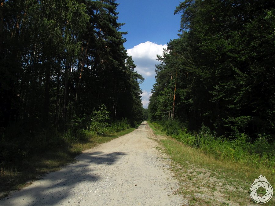Lekko terenowa droga na Majdan
