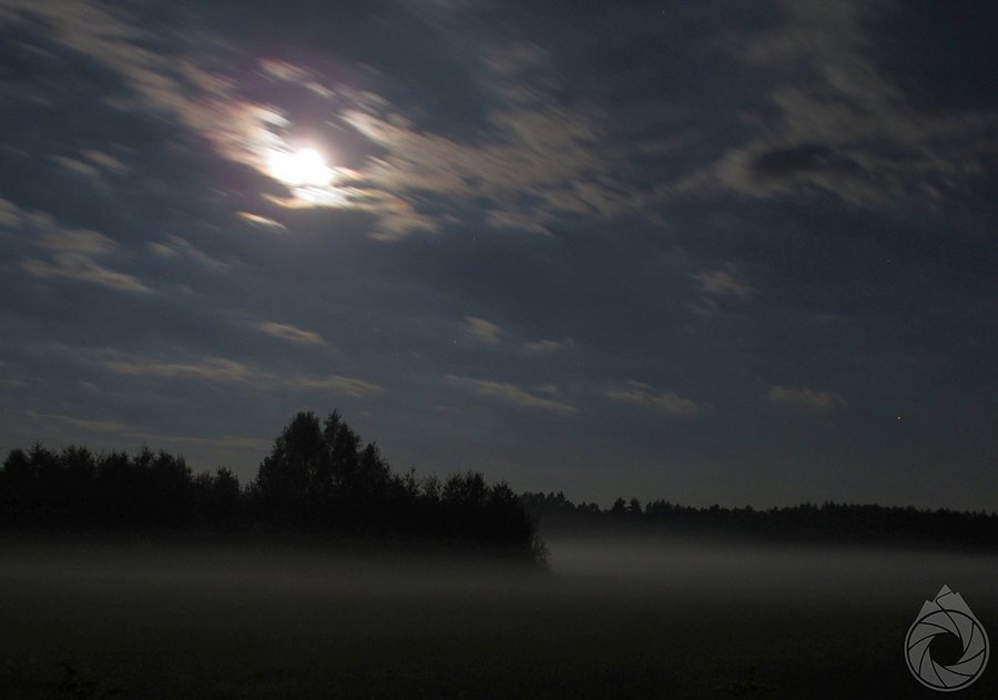 Nocne mgły nad stawami