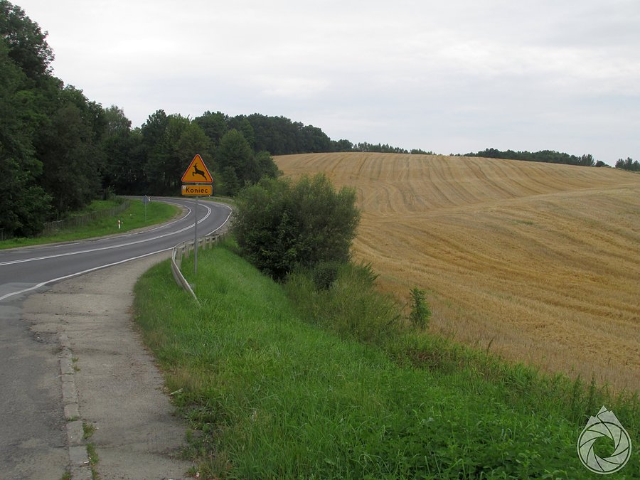 Powoli dobiegają końca żniwa w okolicy Jasła
