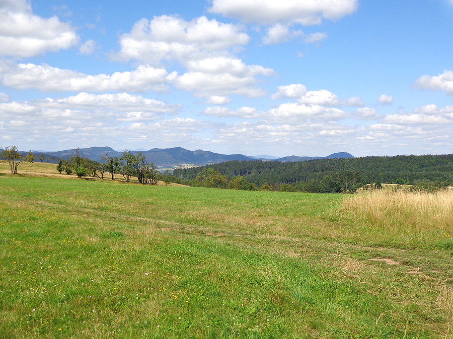 Widok na Góry Suche z Grządek