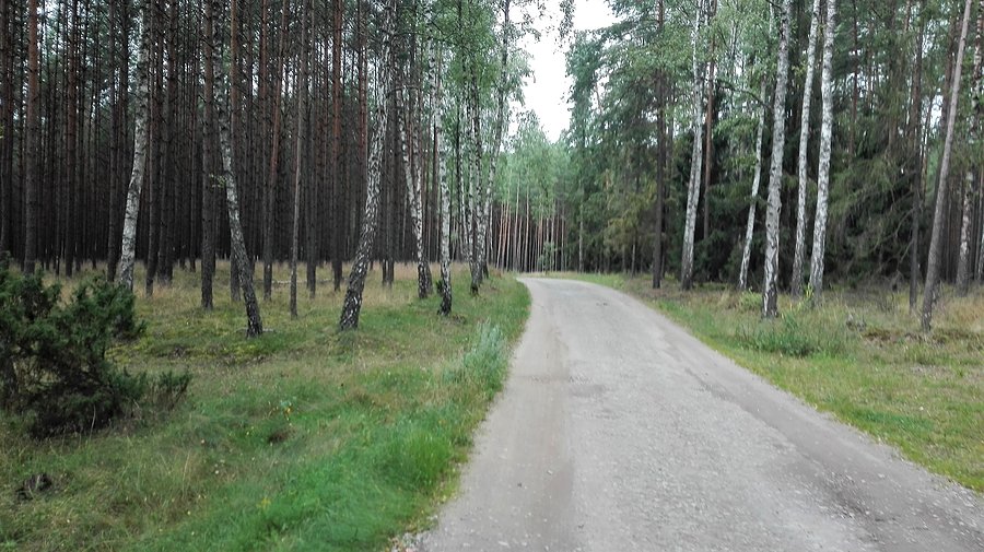 Z Radańskiej terenem prawie do Tlenia