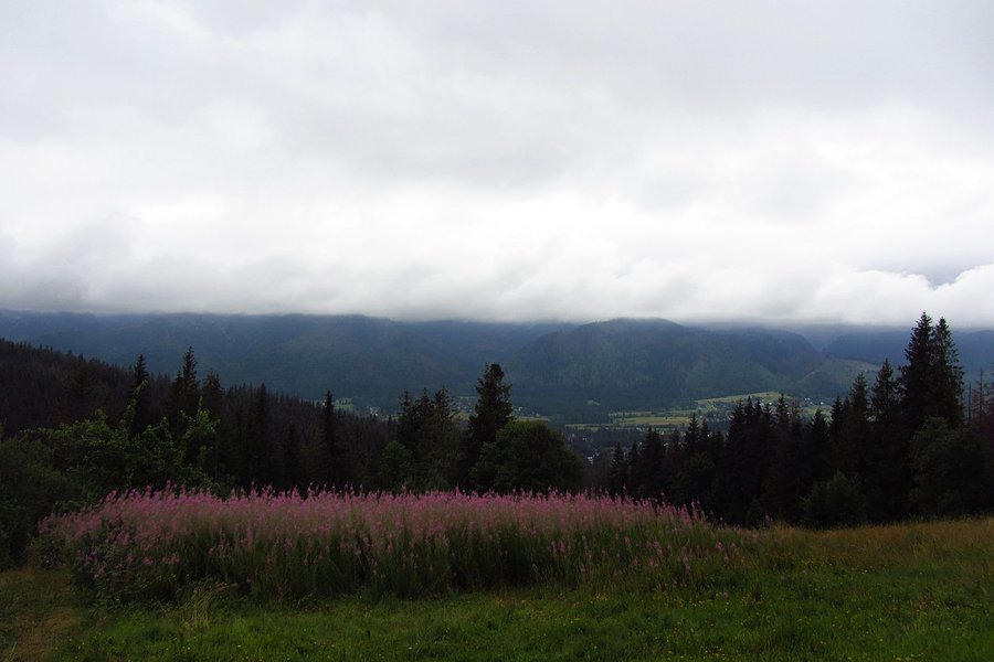 Tatry we mgle