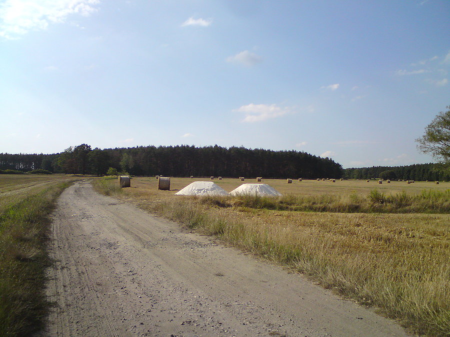 Na trasie z Karłowiczek do Roszkowic