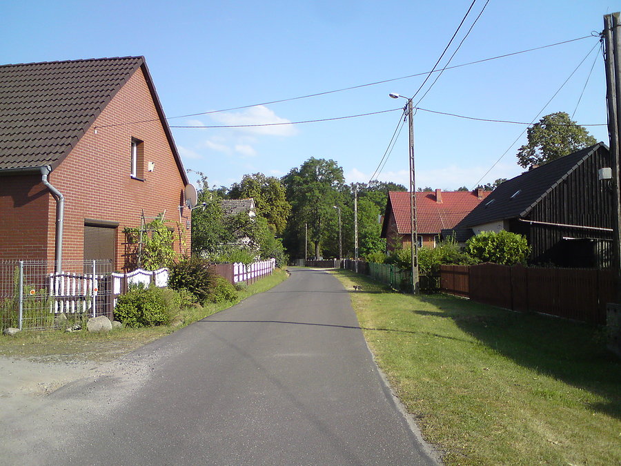 W Roszkowicach