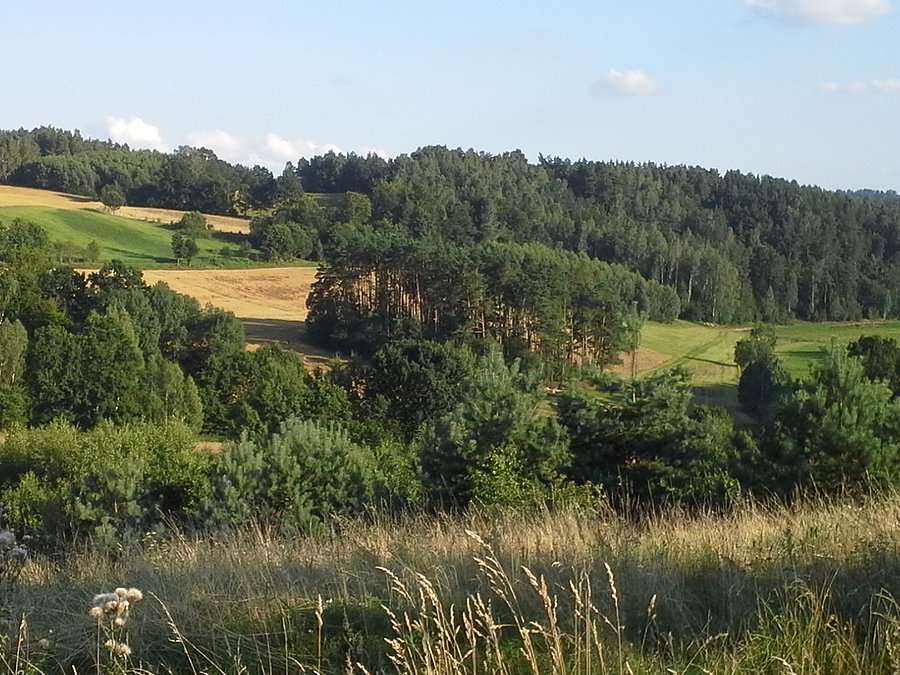 Całkiem ładne widoczki