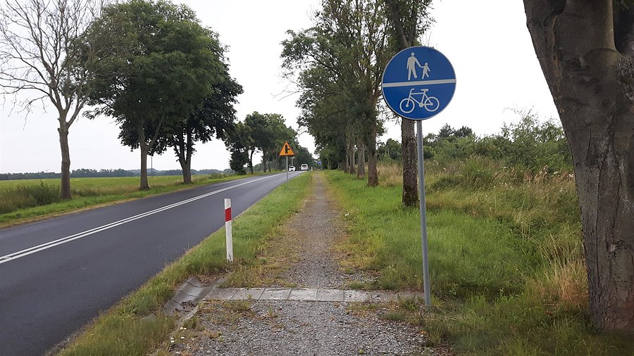 Ddr i p w standardzie powiatu gryfickiego