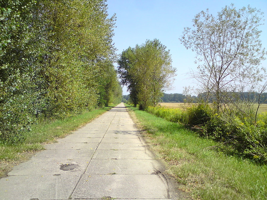 Betonówka
