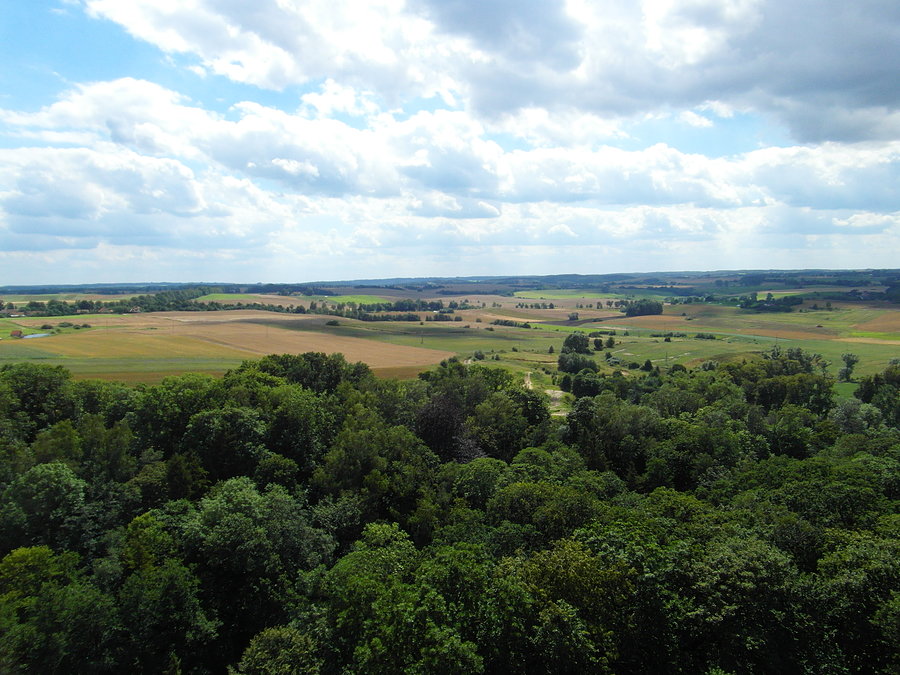 Widok z wieży kościoła Reszlu