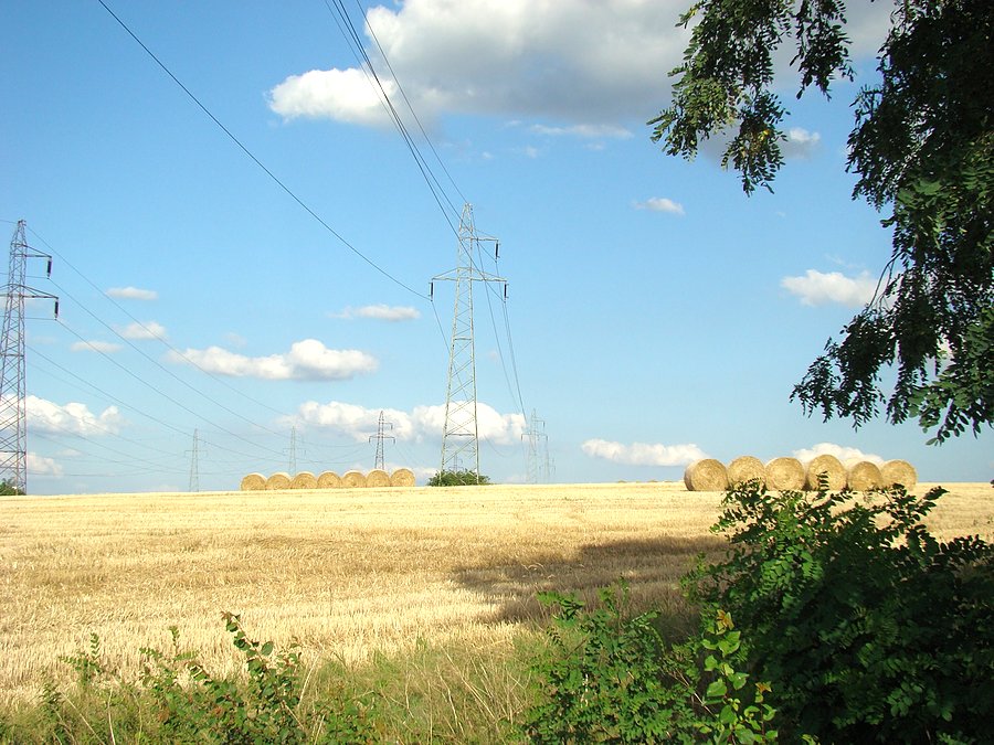 Pola w pobliżu Huty Miedzi Głogów I