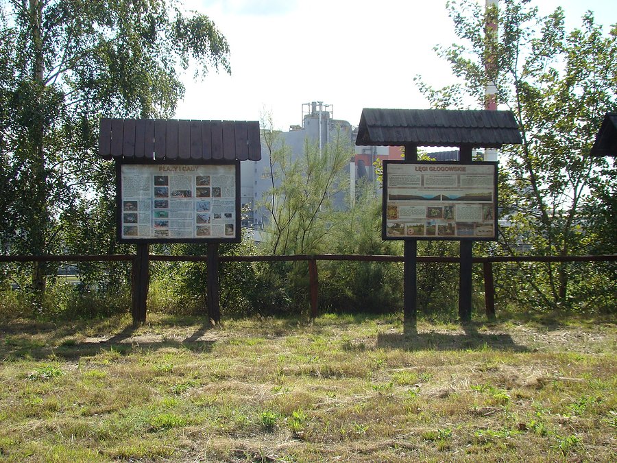 Widok na hutę miedzi z punktu edukacyjnego