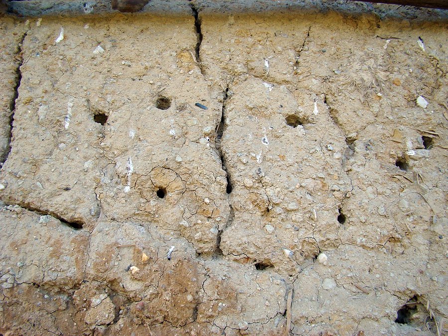 Fragment budowli ochronnej dla owadów gniazdujących w glinie