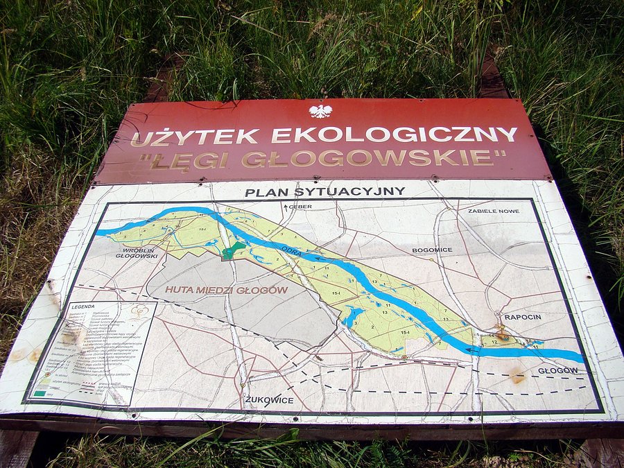 Użytek ekologiczny "Łęgi Głogowskie"