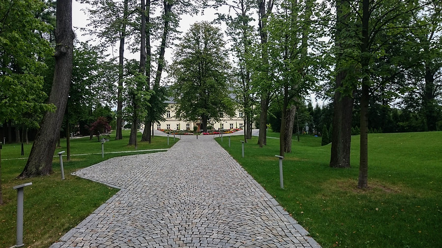 Pałac w Petrovicach (cz)