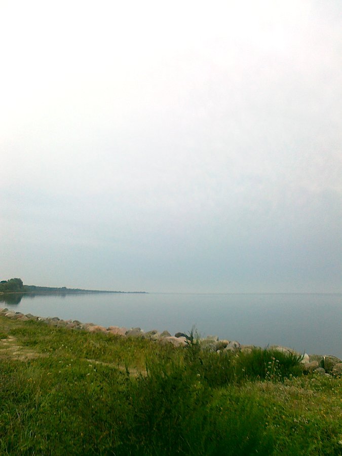 Nad zatoką