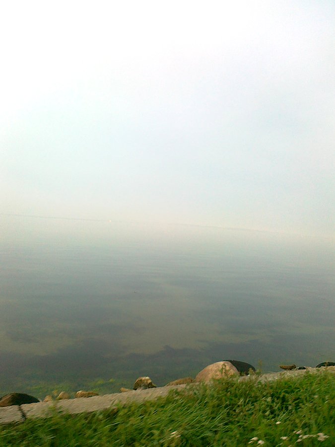 Poranna mgła nad zatoką