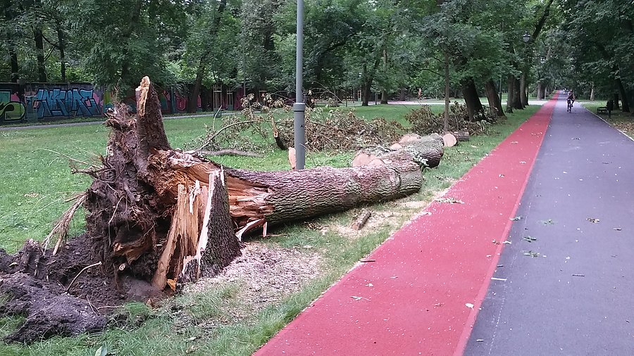 Park na Zdrowiu