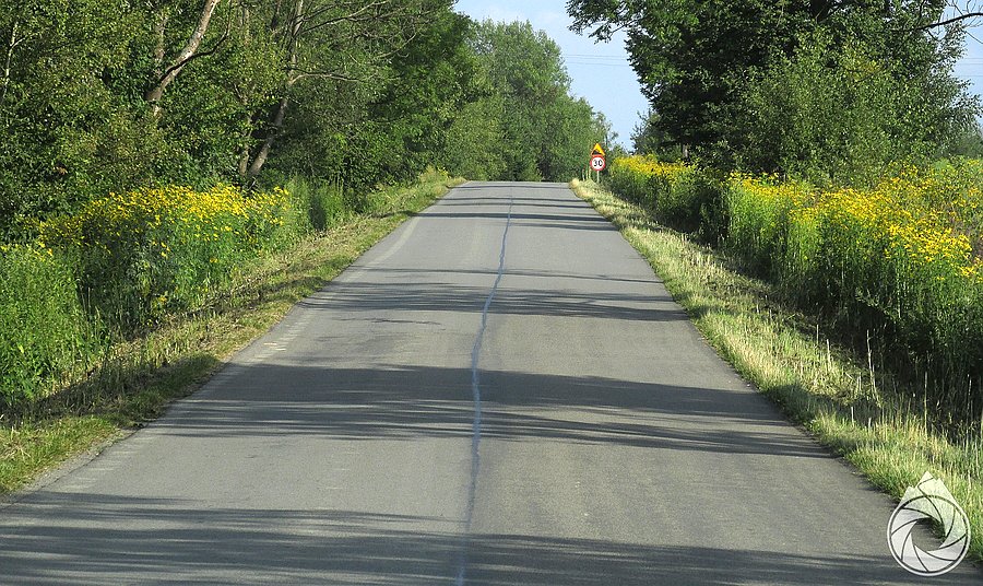 Podjazdy wzdłuż żółtych pasów bylin