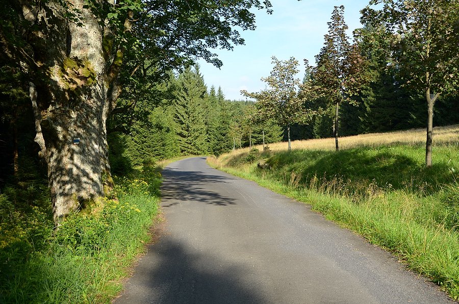 Jedna z dróg Izerów