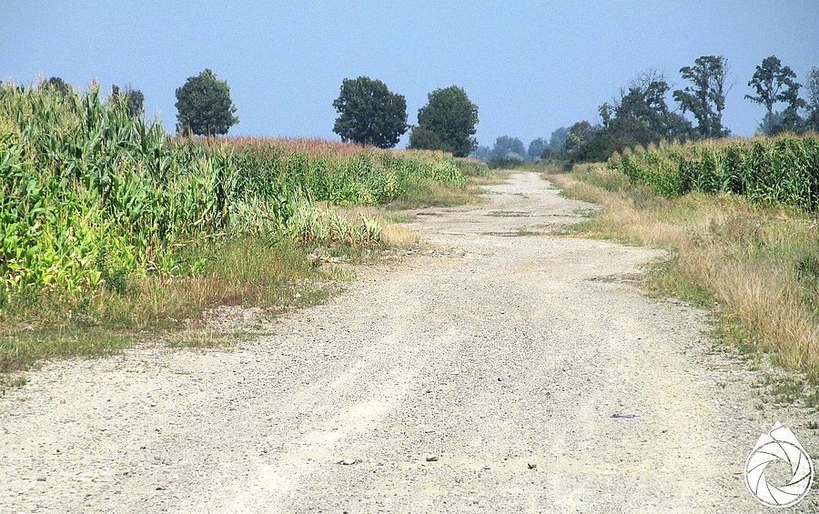Kawałek szutrowy nad rzeką
