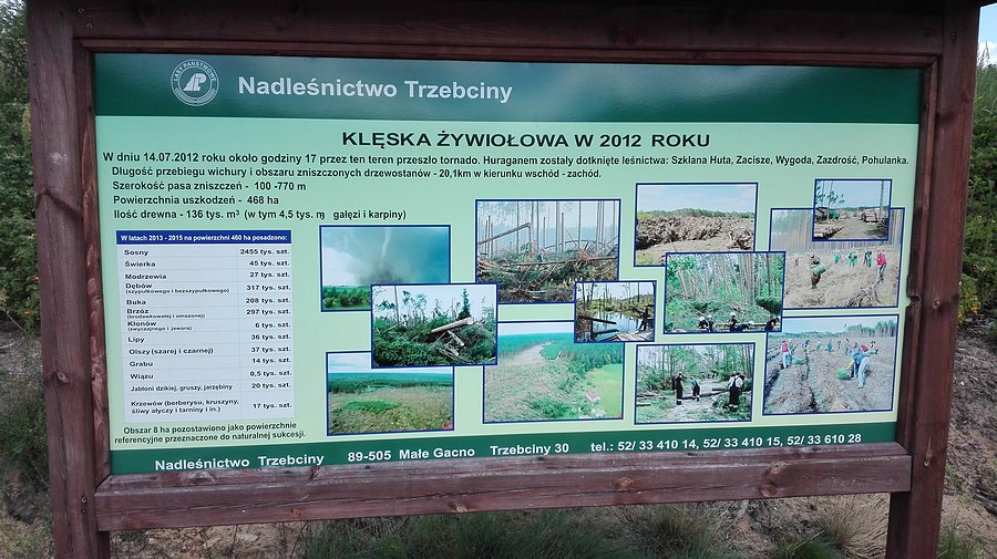 Tablica o tornadzie w Trzebcinach