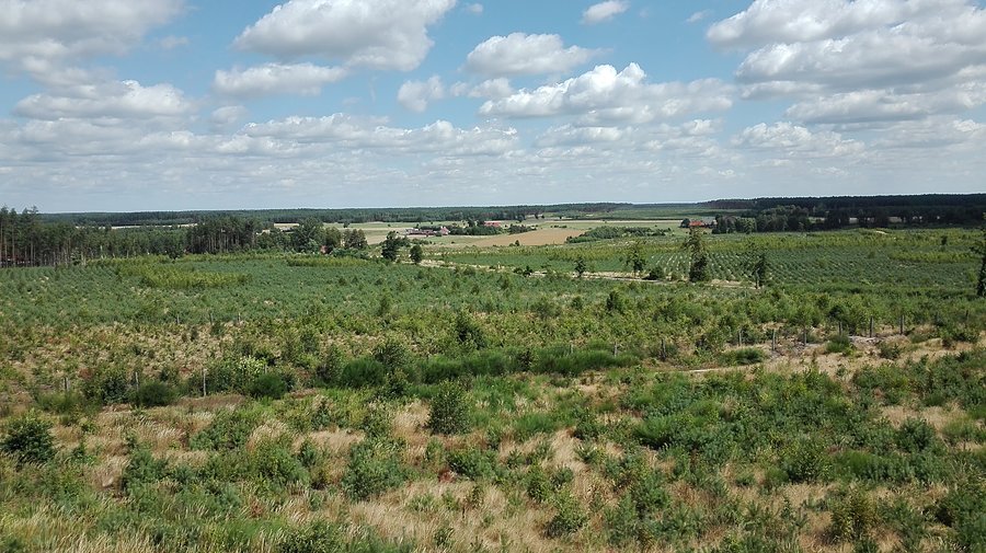 Widok na zniszczone w 2012 tereny