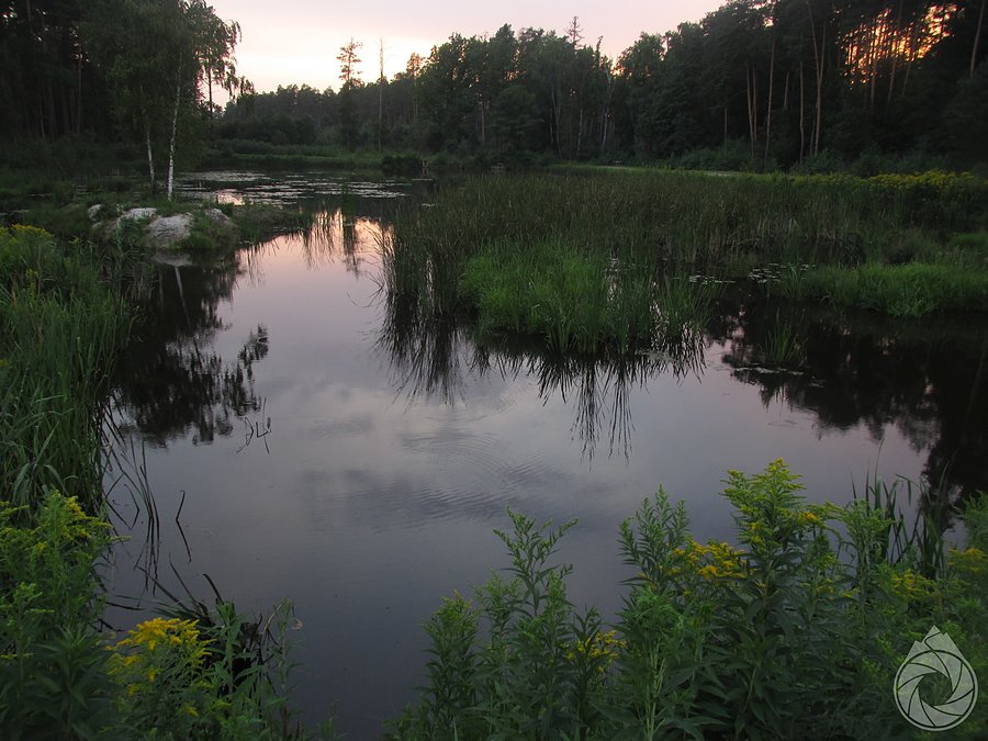 Wieczór nad zbiornikiem