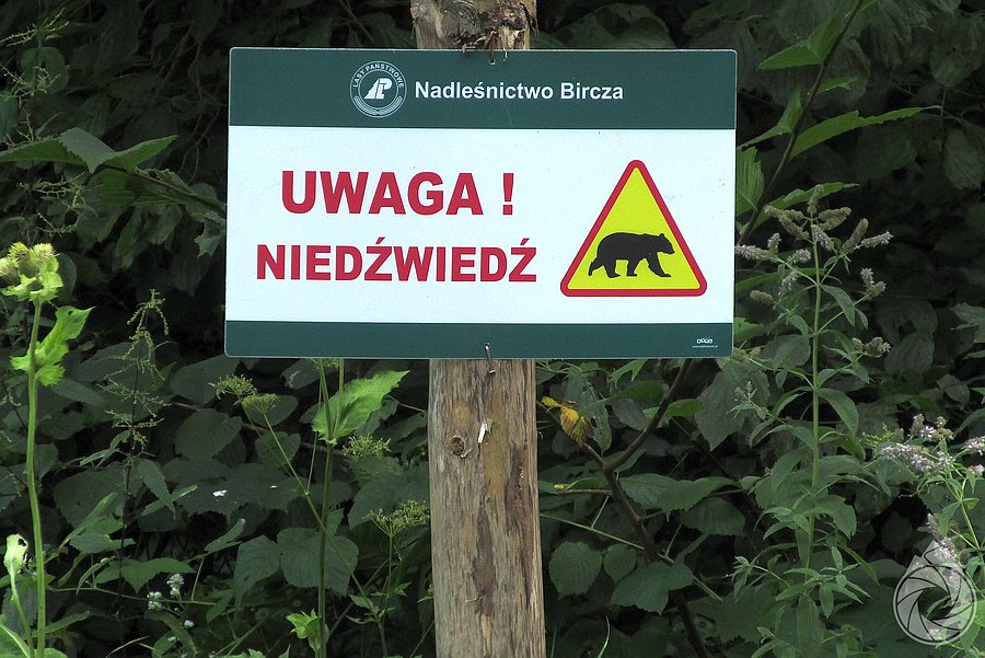 Znów nocka ze zwierzakami