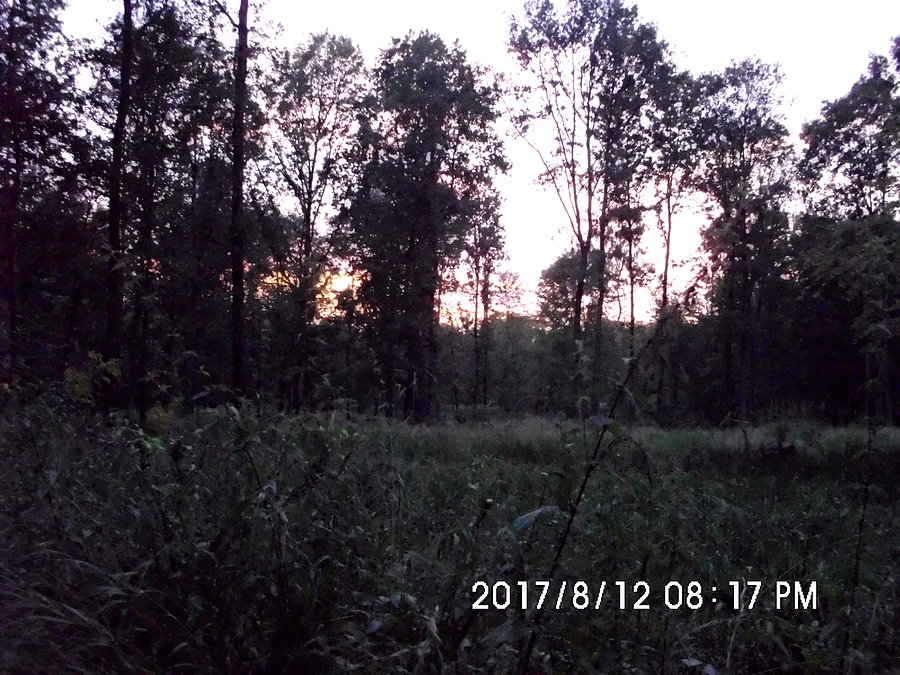 Wieczór na Uroczysku Buczyna