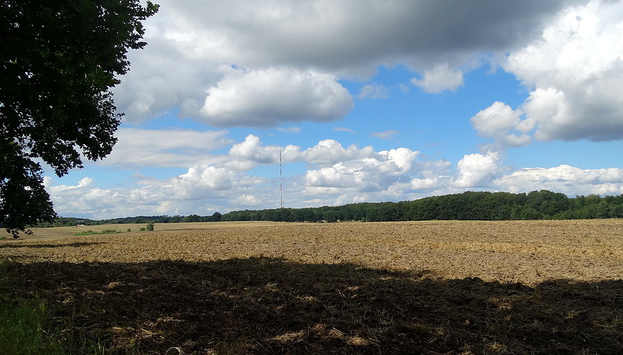 Obrazek spod Kołowa