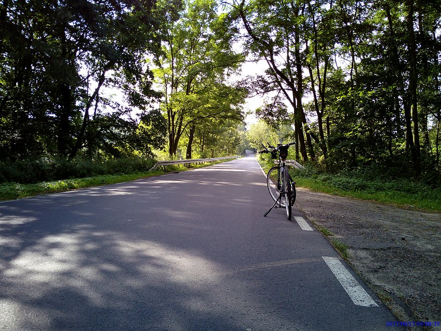 Trasa