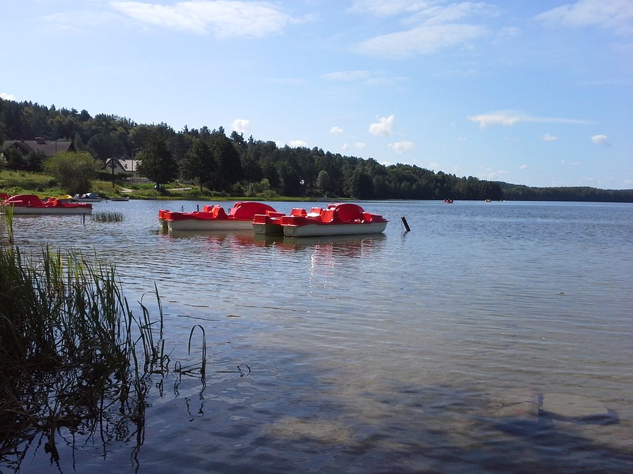 Nad Jeziorem Dąbrowskim