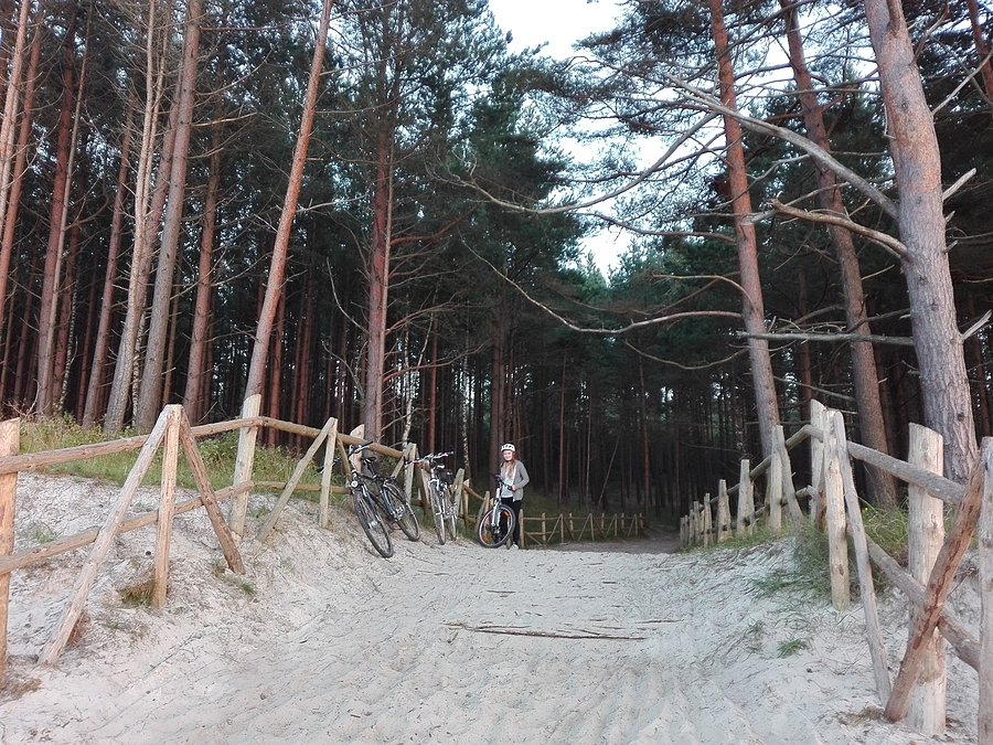 Wyjście na plażę