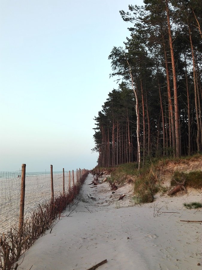 Na plaży