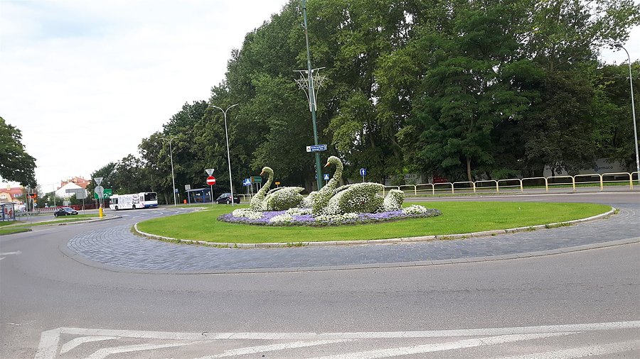 Rondo z łabędziami w Kołobrzegu