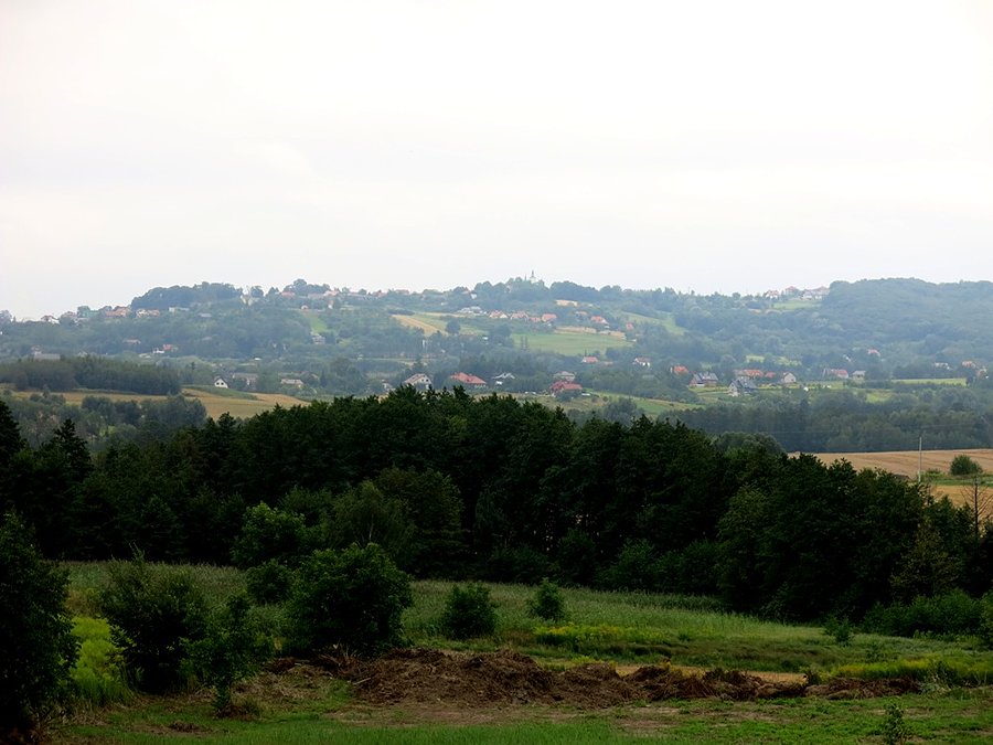 Widok na Bodzanów