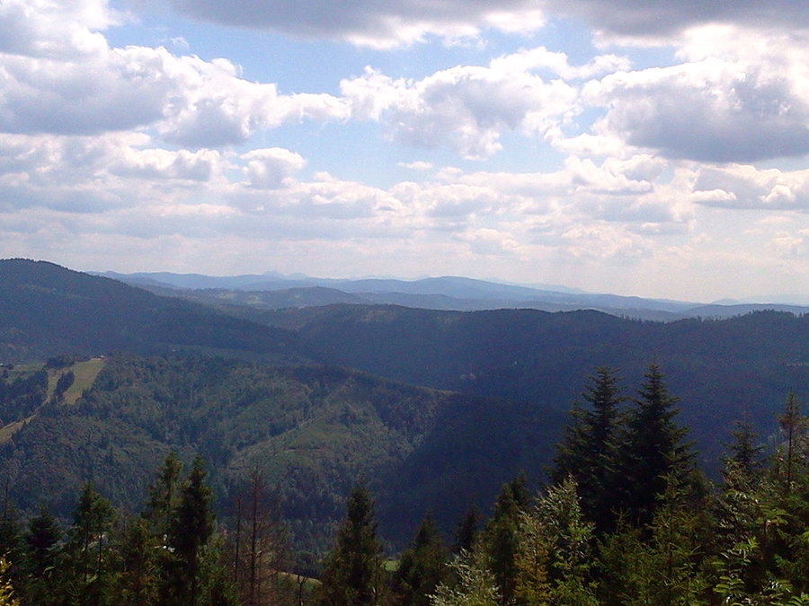 Mała Fatra w oddali