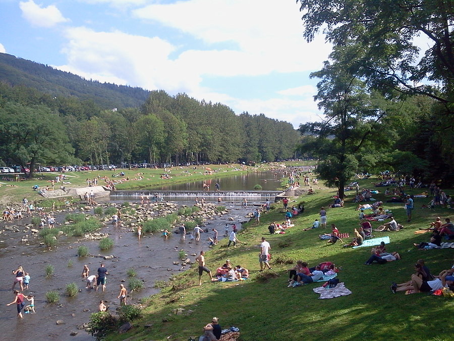 Lufciorze nad Wisłą