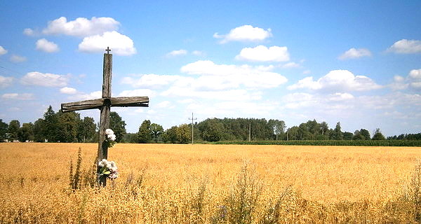 Krzyż w polu