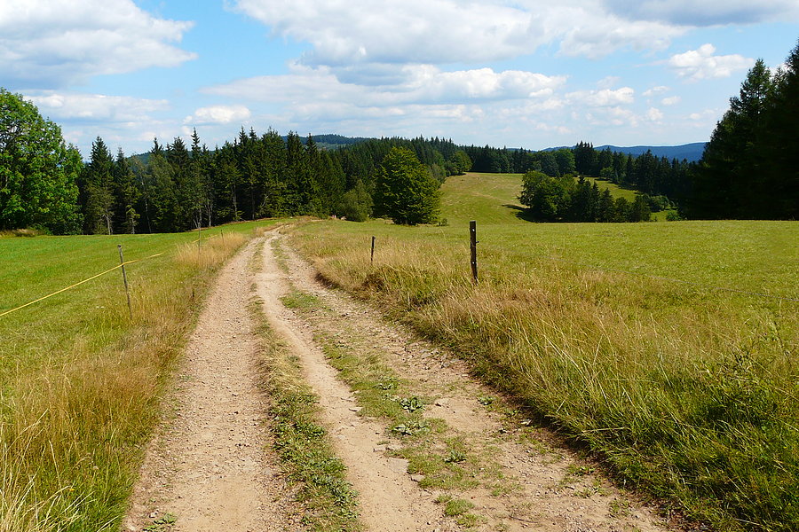 Czerwony szlak Solan - Trestik