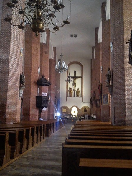 Nawa główna katedry pw. św. Mikołaja
