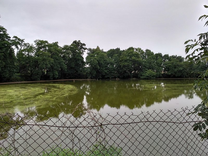 Gdzieś za tym stawem powinien być pałac